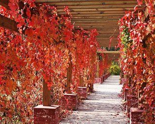 Beijing Jinyu Badaling Hot Spring Resort Xiaohetun Luaran gambar